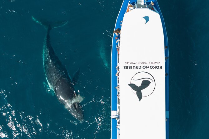 Gold Coast Whale Watching Cruise - Booking and Cancellation Policy