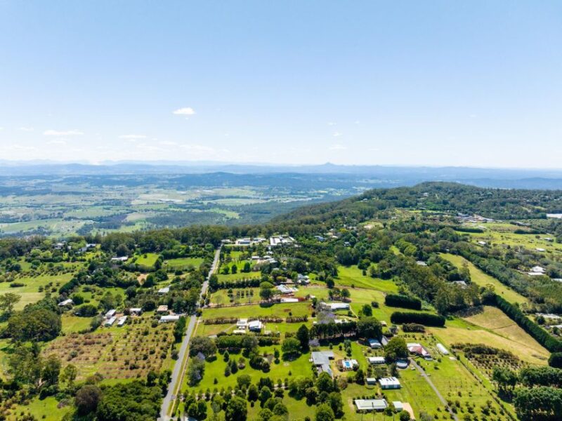 Gold Coast: Winery Tour With Tastings and 2-Course Lunch - Key Points