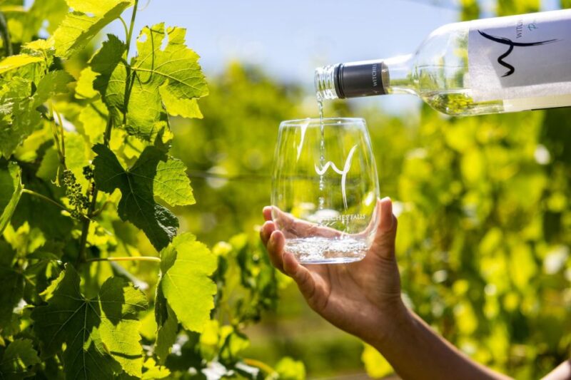 Gold Coast: Winery Tour With Tastings and 2-Course Lunch - Gourmet Winery Lunch