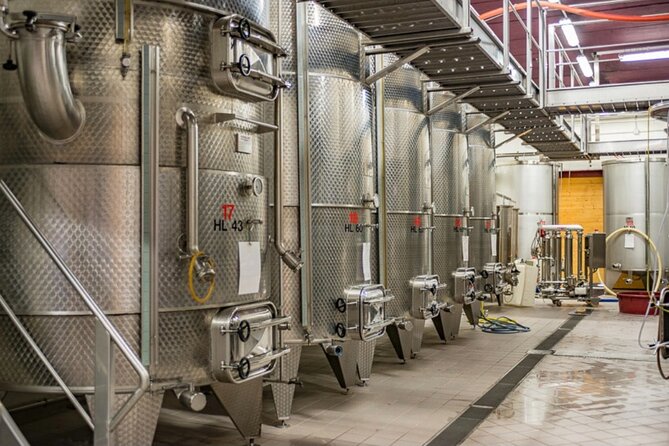 GOLD EXPERIENCE - Winery Tour & Tasting - Tasting the Mountain Wines