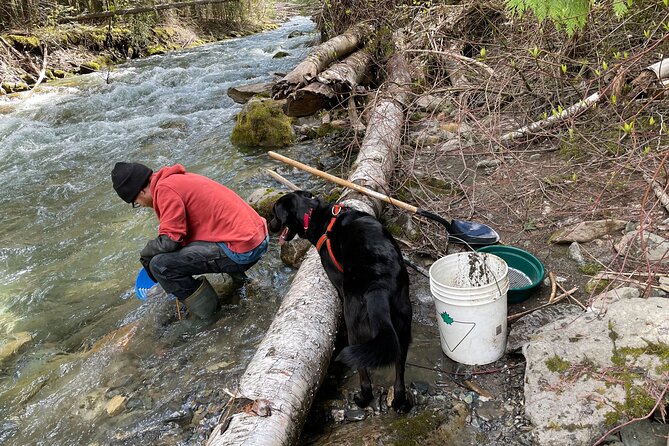 Gold Panning Activity at Mission Creek - Transportation and Public Transit