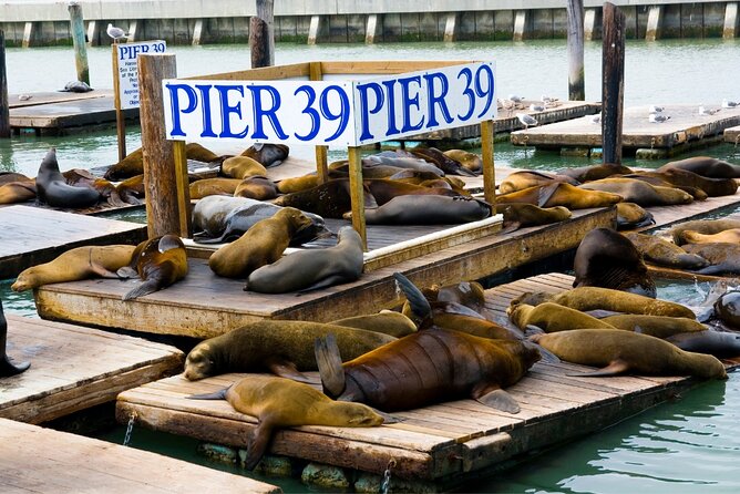 Gold Rush to Golden Gate: Self-Guided Tour of San Francisco - Tour Inclusions