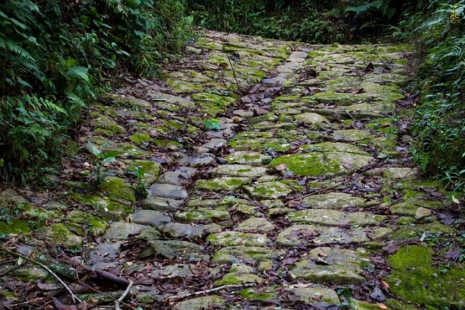 Gold Trail Adventure Cultural Hike by PARATY TOURS - Positive Traveler Feedback