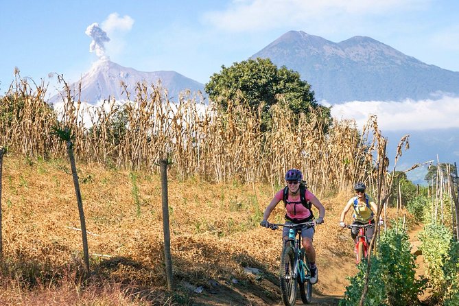 Golden ArchesLujo Version - Biking Through Antiguas Outskirts