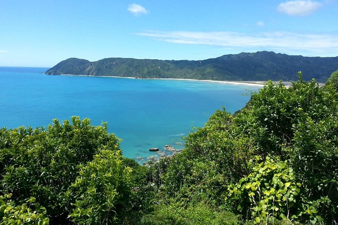 Golden Bay in a Day - Pickup and Start Details