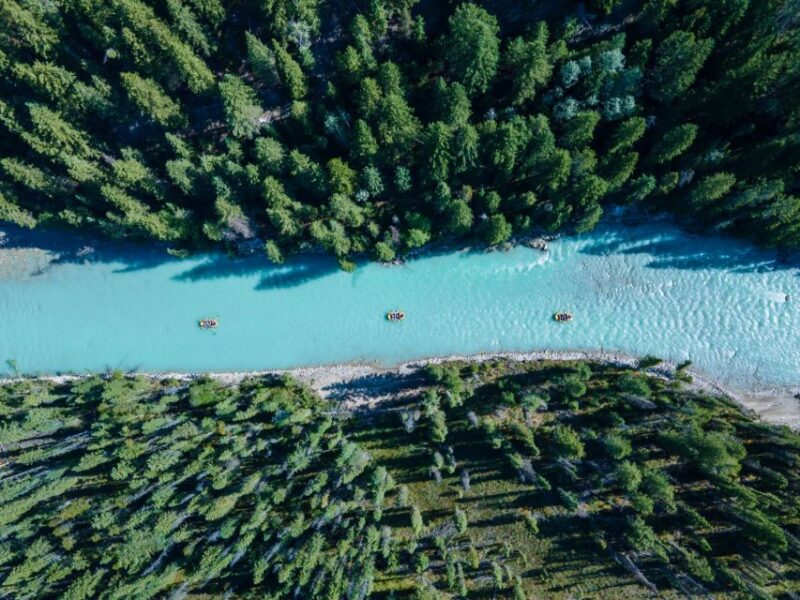 Golden, Bc: Kicking Horse River Family Rafting With Lunch - Rafting Type and River Section