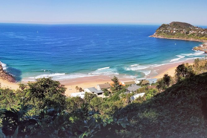 Golden Beaches and Ocean Vistas MANLY AND NORTHERN BEACHES PRIVATE TOUR - Discovering Kirribilli and Milsons Point