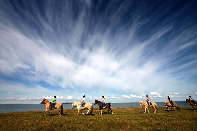 Golden Circle and Horses - Horseback Riding Experience