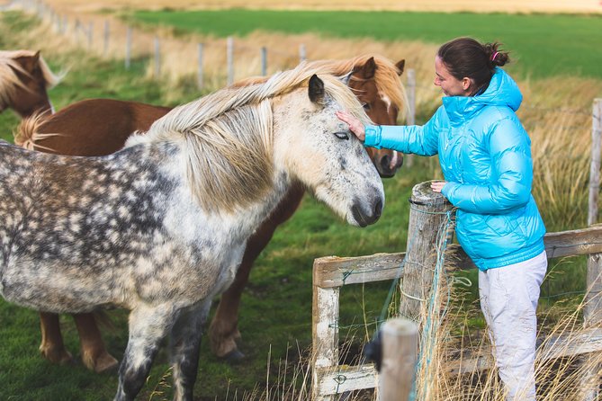 Golden Circle and Horses - Exploring the Golden Circle