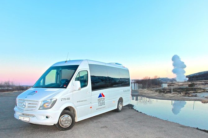 Golden Circle and Secret Lagoon Full Day Tour From Reykjavik by Minibus - Tour Accessibility