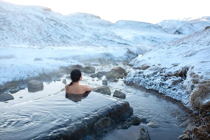 Golden Circle Experience - Private Eco Tour - Additional Details