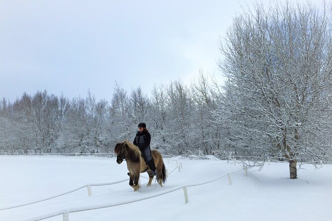 Golden Circle, Fridheimar Farm & Horses Small Group Tour From Reykjavik - Key Attractions