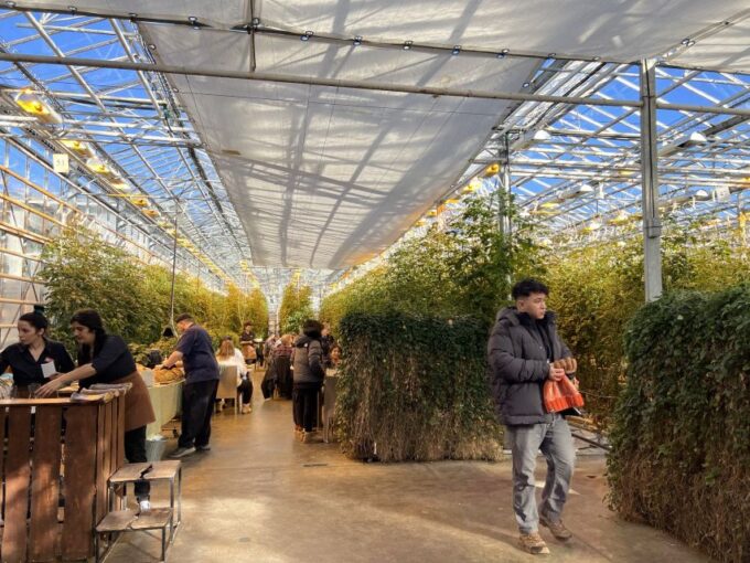 Golden Circle, Hot Spring Bakery, Tomato Farm Private Tour - Frequently Asked Questions