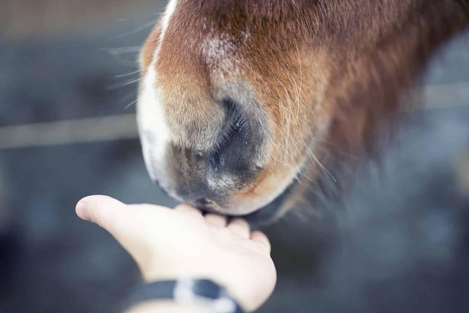 Golden Circle & Kerid Day Tour by Minibus From Reykjavik - Key Stops