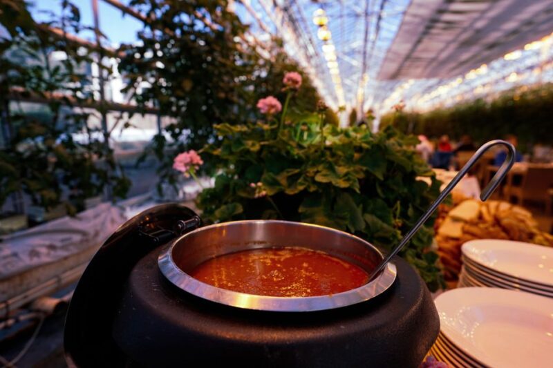 Golden Circle & Lunch at Fridheimar Tomato Farm- With Photos - Itinerary Highlights