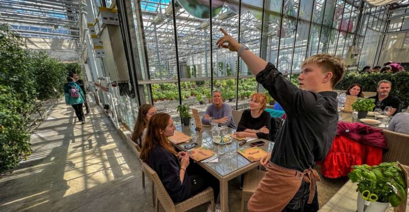 Golden Circle & Lunch at Fridheimar Tomato Farm- With Photos - Pickup and Tour Details