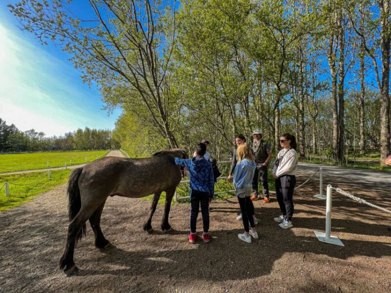 Golden Circle & Lunch at Fridheimar Tomato Farm- With Photos - Preparation and Restrictions
