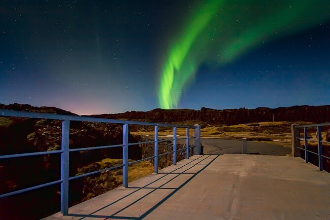 Golden Circle, Northern Lights and Blue Lagoon Tour With Ticket - Tour Experience and Guides