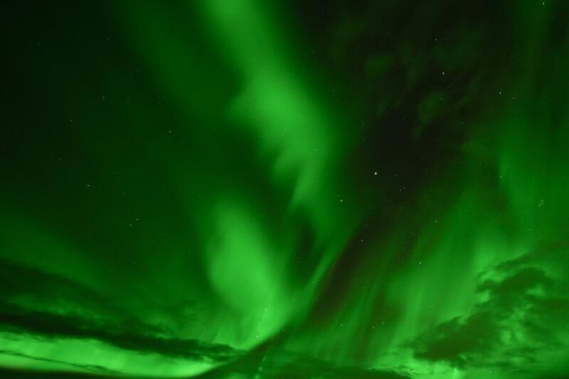 Golden Circle & Northern Lights Winter Small Group Tour - Customer Reviews and Feedback