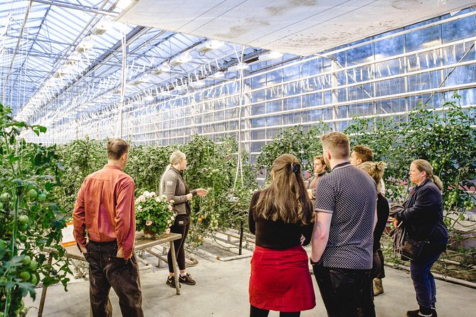 Golden Circle, Secret Lagoon and Tomato Greenhouse Lunch Tour - Booking and Cancellation