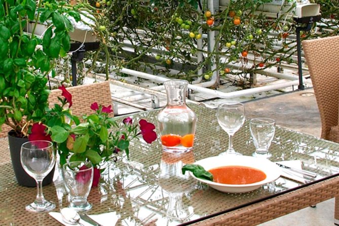 Golden Circle, Secret Lagoon and Tomato Greenhouse Lunch Tour - Visiting the Golden Circle