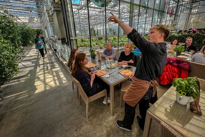 Golden Circle, Silfra Snorkeling & Fridheimar Tomato Farm Lunch - Included Highlights