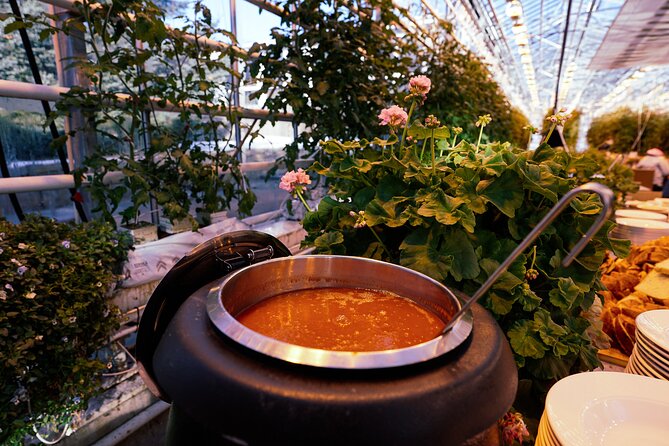 Golden Circle With Tomato Farm Lunch & Secret Lagoon Bathing - Lunch at the Tomato Farm