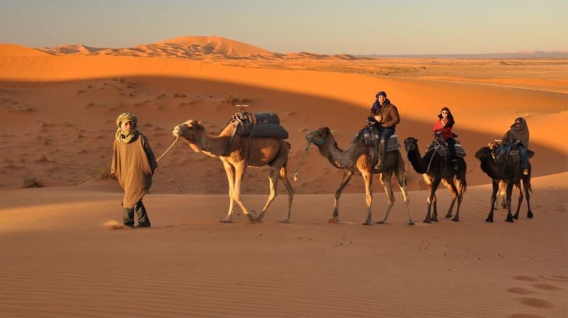 Golden City Of Rajasthan, Jaisalmer Desert Tour (02 Days) - Gadsisar Lake and Jain Temples