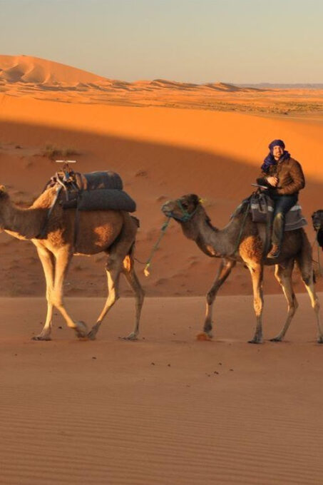 Golden City Of Rajasthan, Jaisalmer Desert Tour (02 Days) - Important Information and Booking
