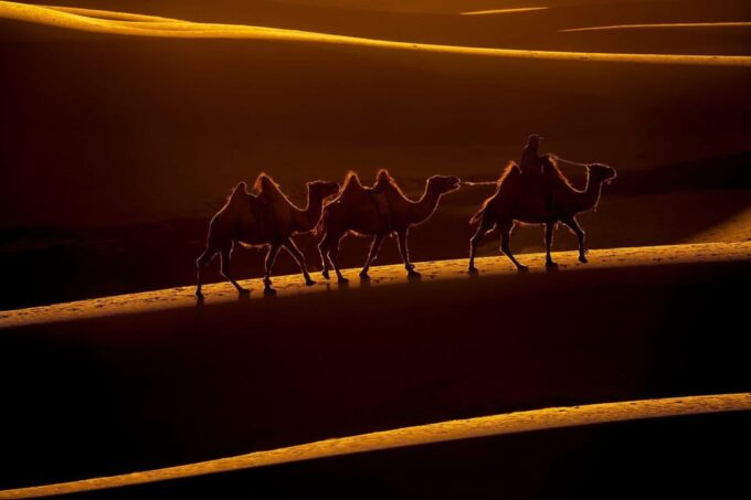 Golden Eagle Festival and Greate Gobi Desert Tour - Additional Costs