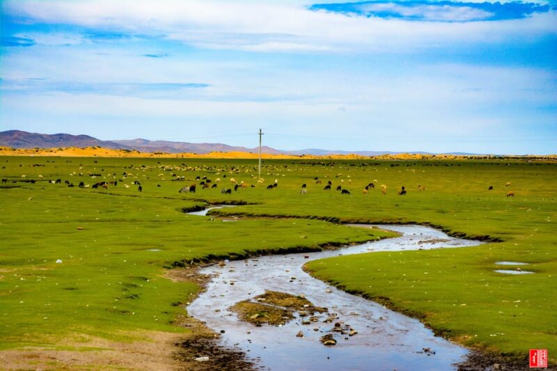 Golden Eagle Festival and Greate Gobi Desert Tour - Tour Inclusions