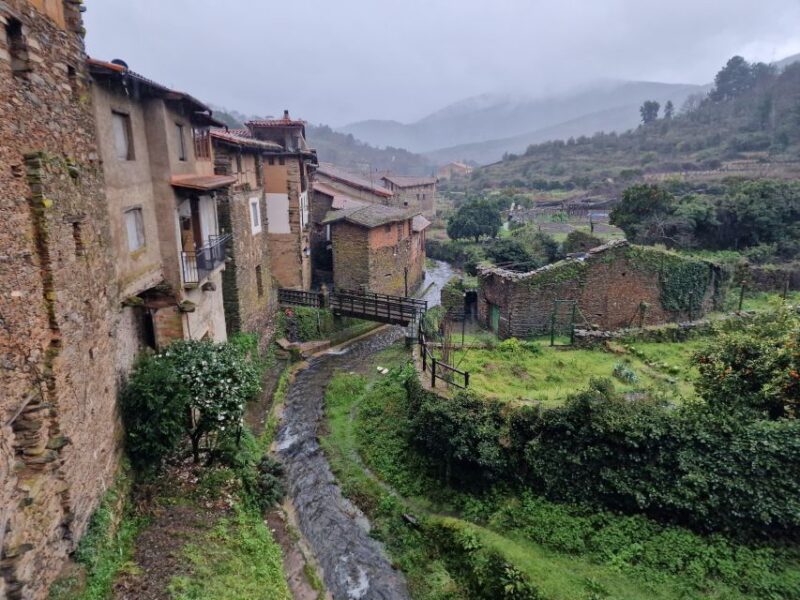 Golden Fever in Extremadura - Key Points