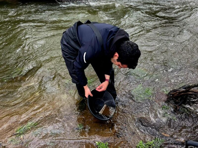 Golden Fever in Extremadura - Frequently Asked Questions