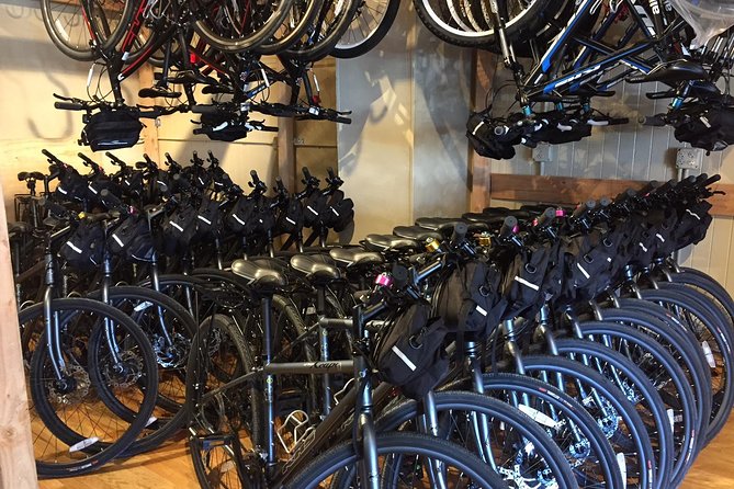 Golden Gate Bridge Electric Bike Rentals (E-Bike Rentals) - Accessibility and Participation