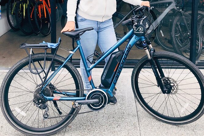 Golden Gate Park Bike Rentals - Customer Ratings and Reviews