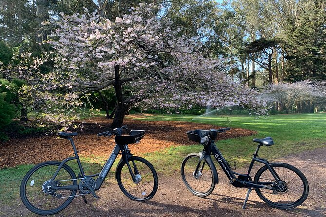 Golden Gate Park Electric Bike Rental - Rental Bike Features