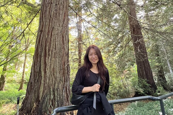 Golden Gate Parks Hidden Gems, Highlights and History - Discovering Historic Trees and Landmarks