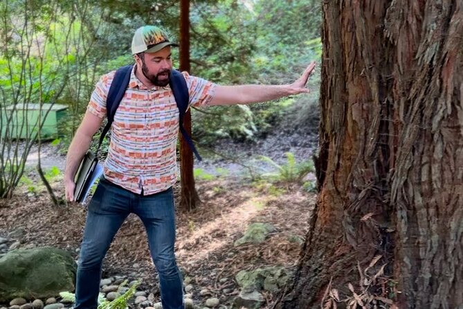 Golden Gate Parks Hidden Gems, Highlights and History - Accessibility and Inclusions