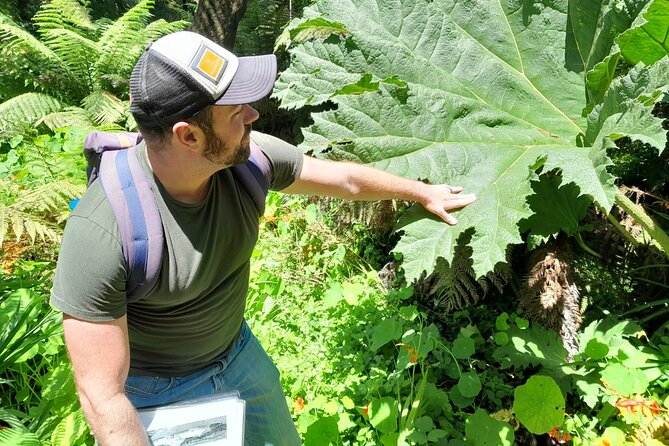 Golden Gate Parks Hidden Gems, Highlights and History - Booking and Additional Information