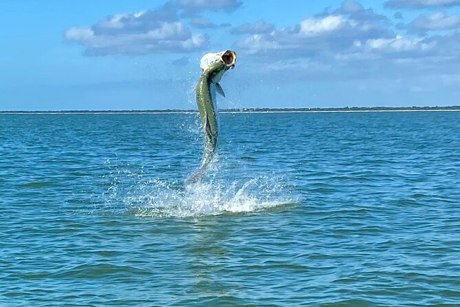 Golden Glare Fishing Charter With Experienced Captain - Tarpon Migration and Fishing Spots