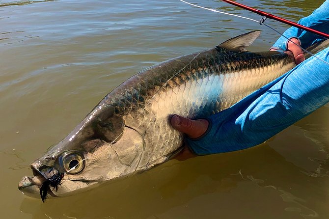 Golden Glare Fishing Charter With Experienced Captain - Fishing Techniques and Guidance