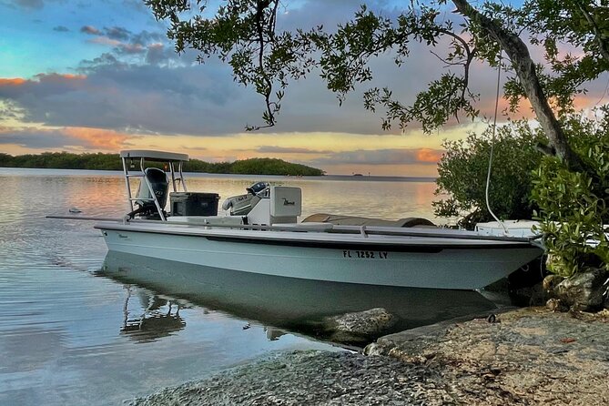 Golden Glare Fishing Charter With Experienced Captain - Private Transportation and Accessibility