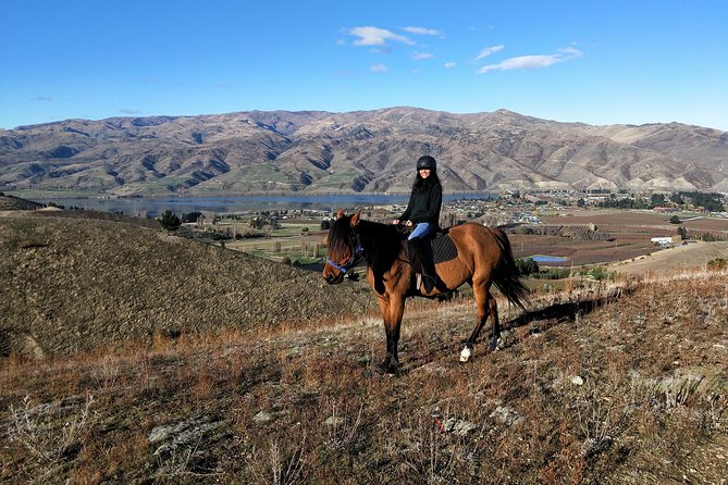 Golden Hills Horse Treks - Customer Reviews and Feedback