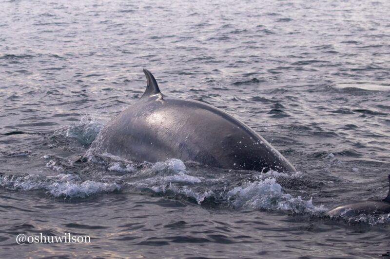 Golden Hour Boat Trip Experience - Meeting Point