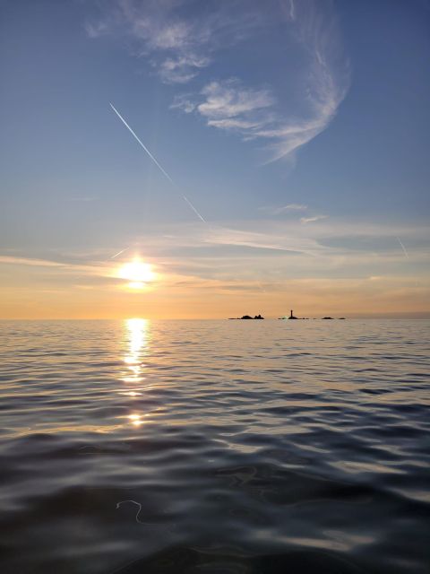 Golden Hour Boat Trip Experience - Wildlife Spotting Opportunities