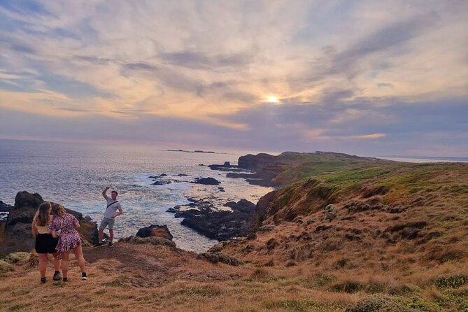 Golden Hour Penguins Express Tour With Pickups on Phillip Island - Traveler Reviews