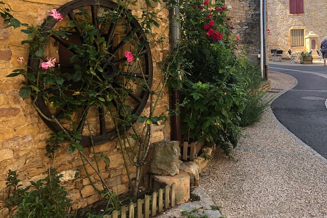 Golden Stones Beaujolais Wine Tour With Tastings From Lyon - Vineyard Wine Tasting
