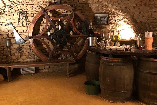 Golden Stones Beaujolais Wine Tour With Tastings From Lyon - Winemakers Estate Visits