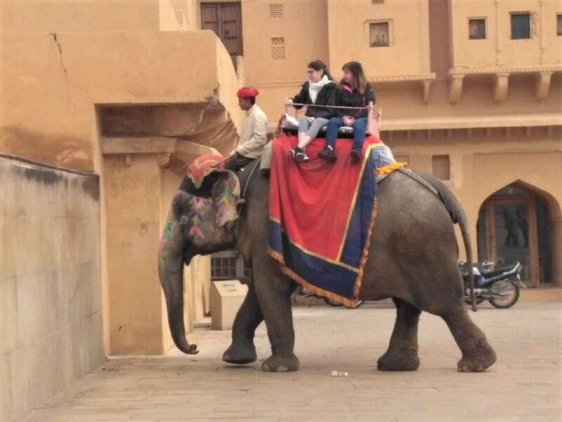 Golden Triangle India Tour 4 Nights 4 Days - Included Amenities