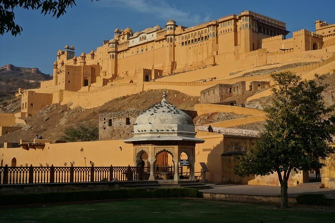 Golden Triangle Tour With Ranthambore - Wildlife Experience at Ranthambore
